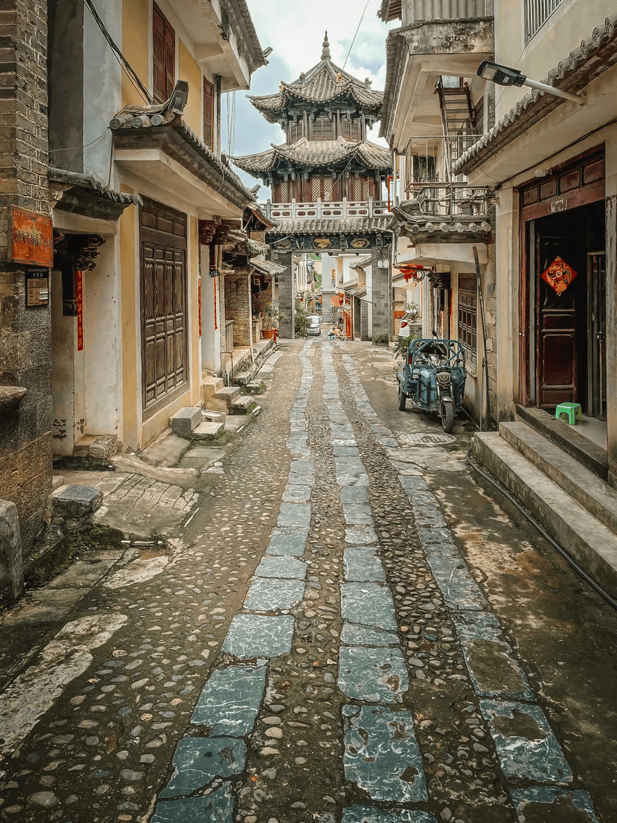 delmotte michael tweet media