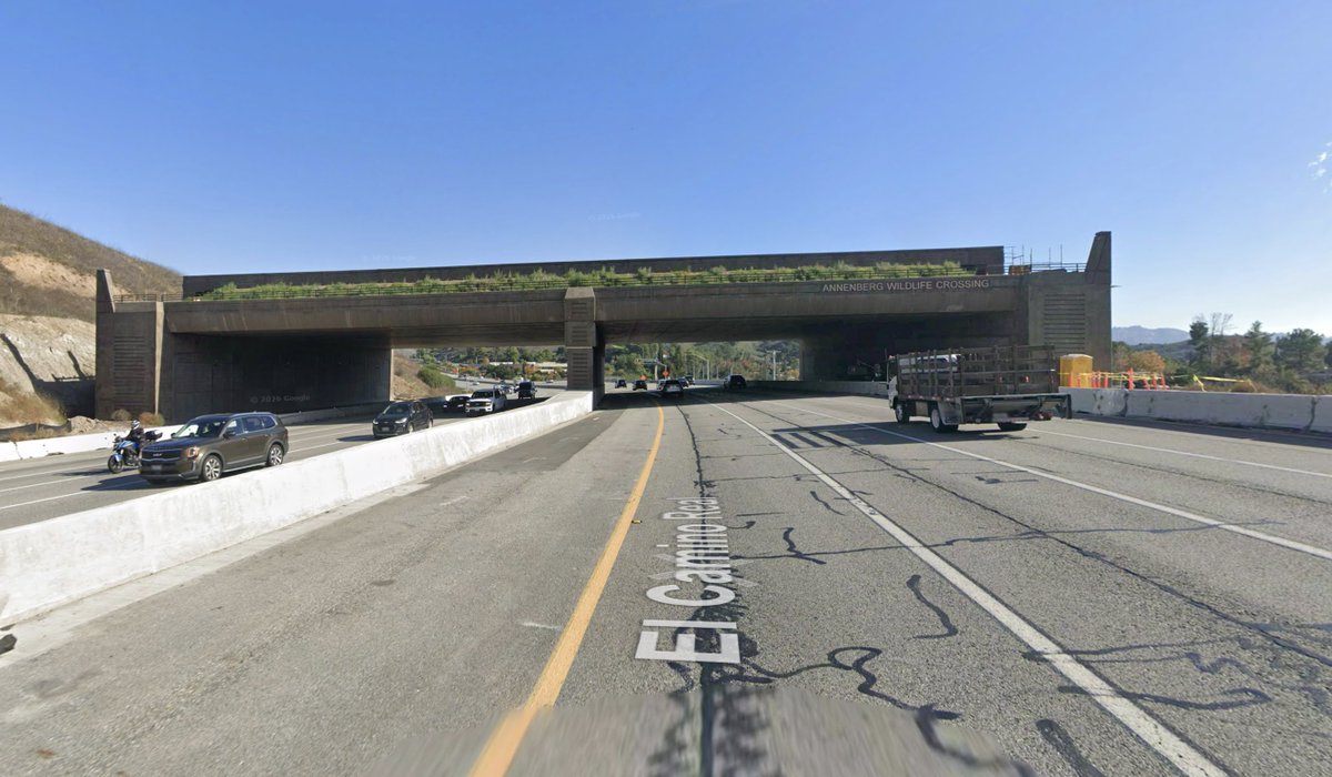 Grant Slatton tweet media