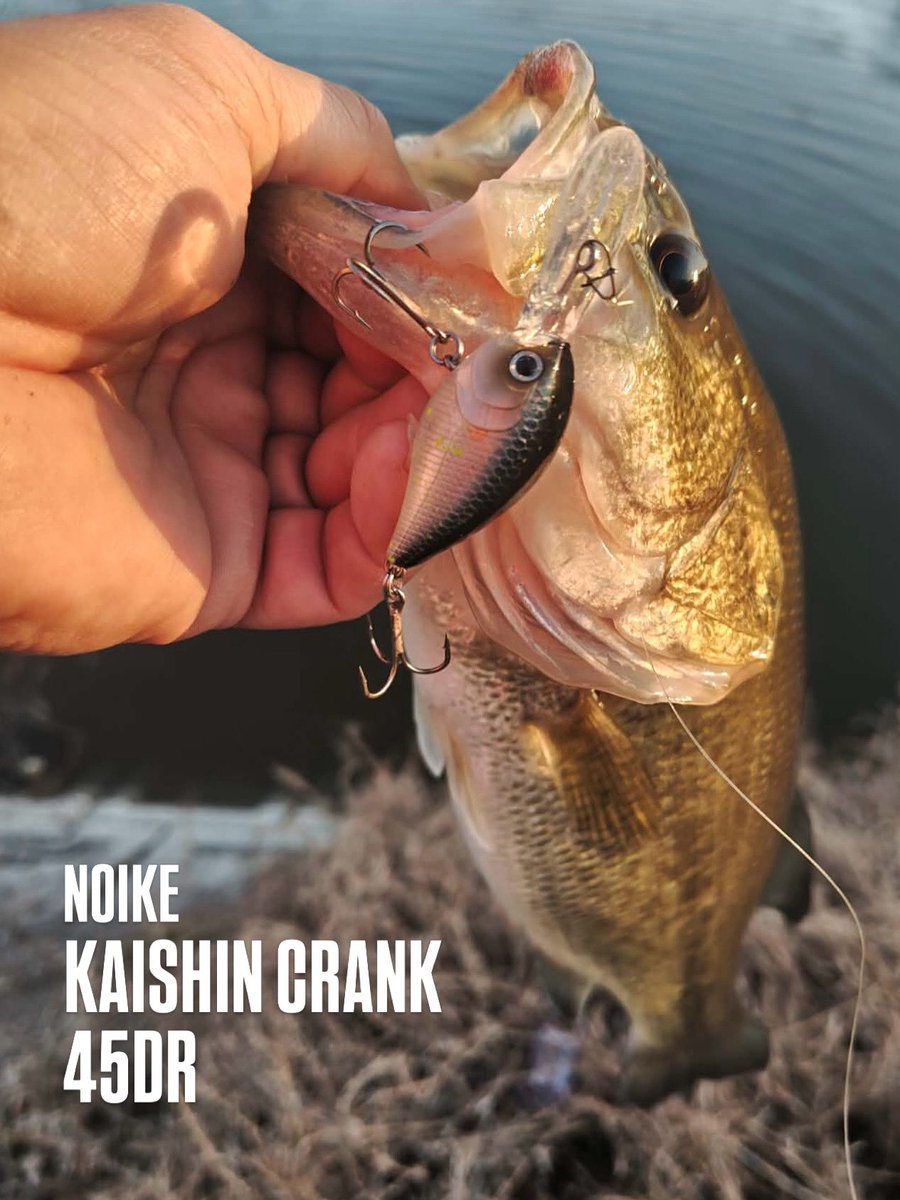 ik4UkrARsB0hqZd's tweet photo. NOIKE
KAISHIN CRANK 45DR
4月リリース🌸
#NOIKE
#カイシンクランク #45DR
#NOIKEマーケティング https://t.co/12lQZat9S1