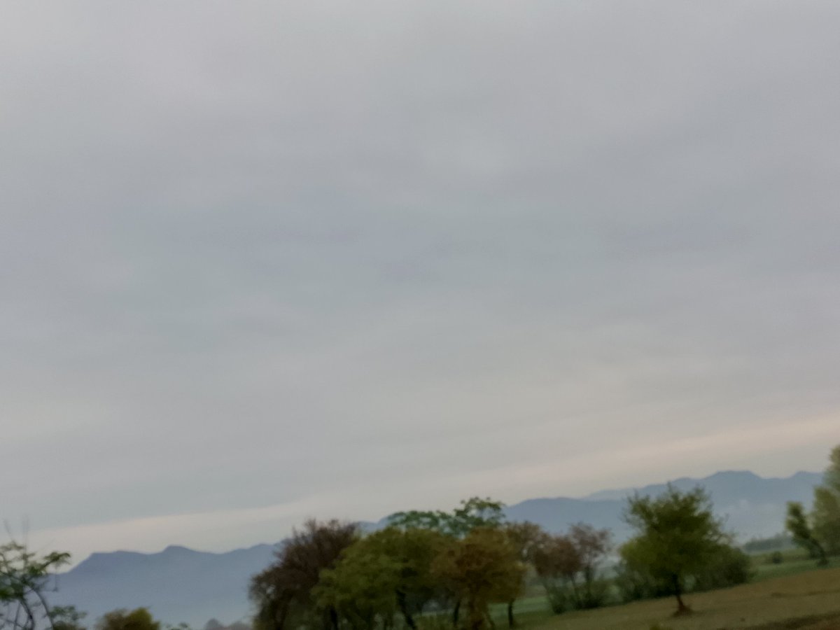 Tayyba Awan 🌸 tweet media