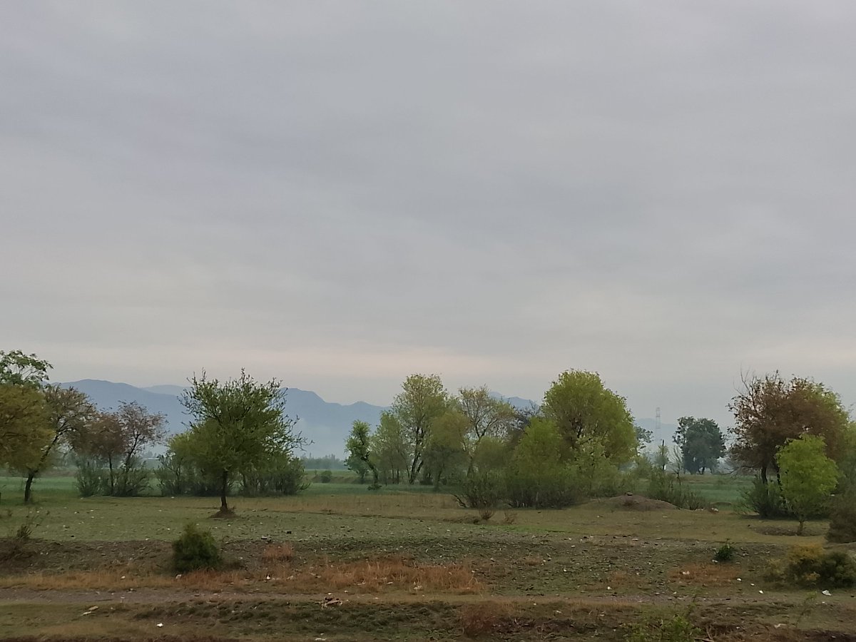 Tayyba Awan 🌸 tweet media