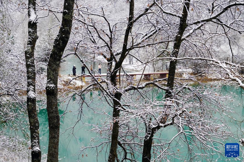 【甘肅宕昌：官鵝溝春雪美如畫】臨近春分節氣，甘肅省宕昌縣出現降雪，春雪將官鵝溝景區裝扮得銀裝素裹，白雪覆蓋下的樹木、湖泊和村莊共同構成一幅美麗畫卷。