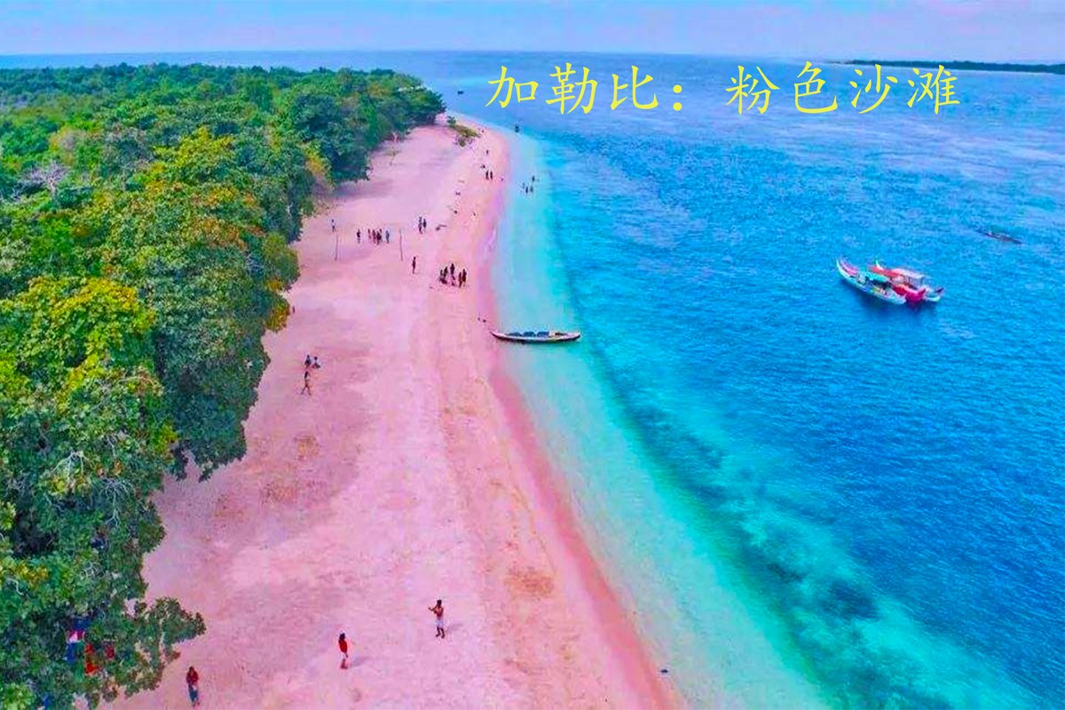 Maxillion Pegasus tweet media