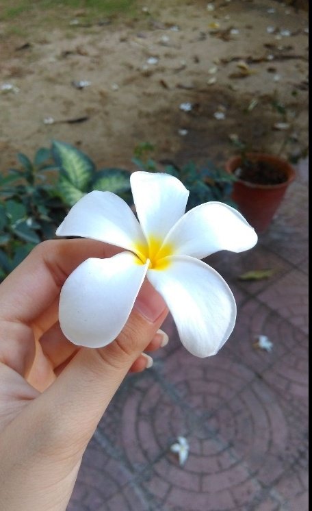 𝐊𝐌 𝐏ɽ𝐢𝐘ɑɳʞɑ tweet media