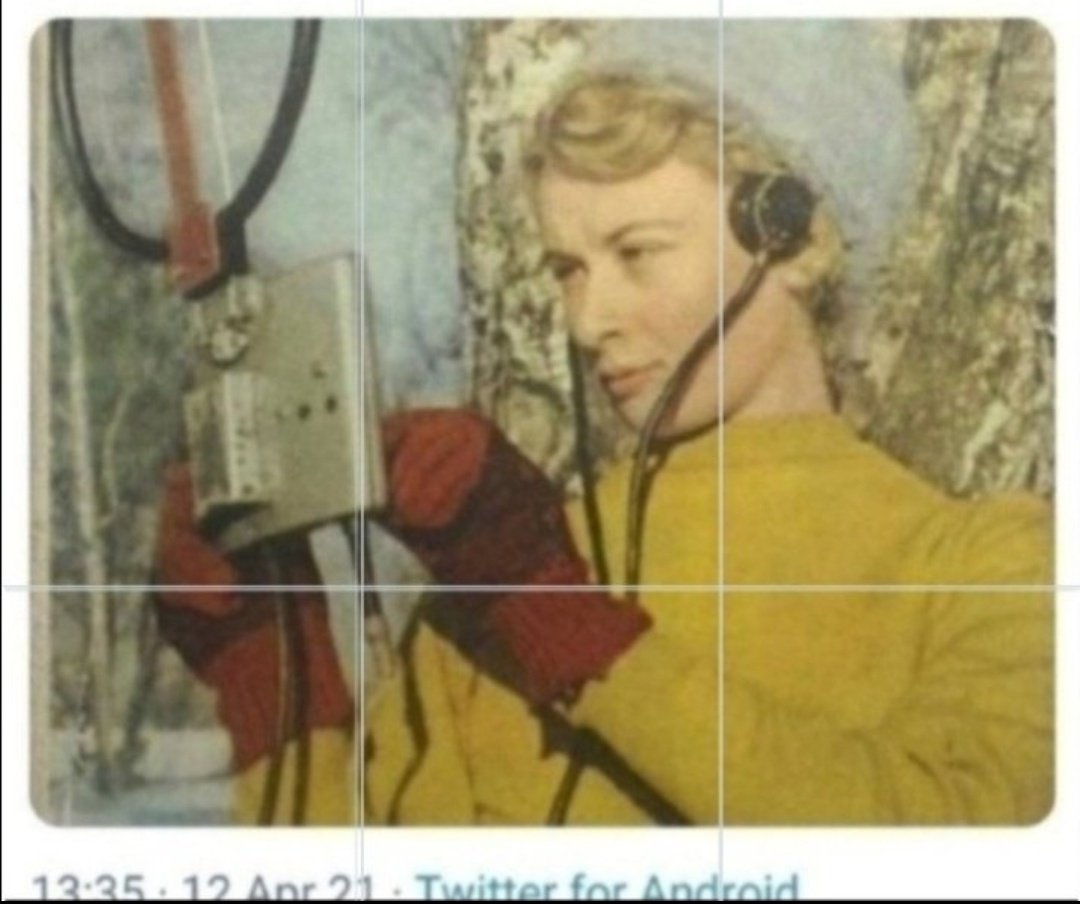 mark franklin rossow tweet media