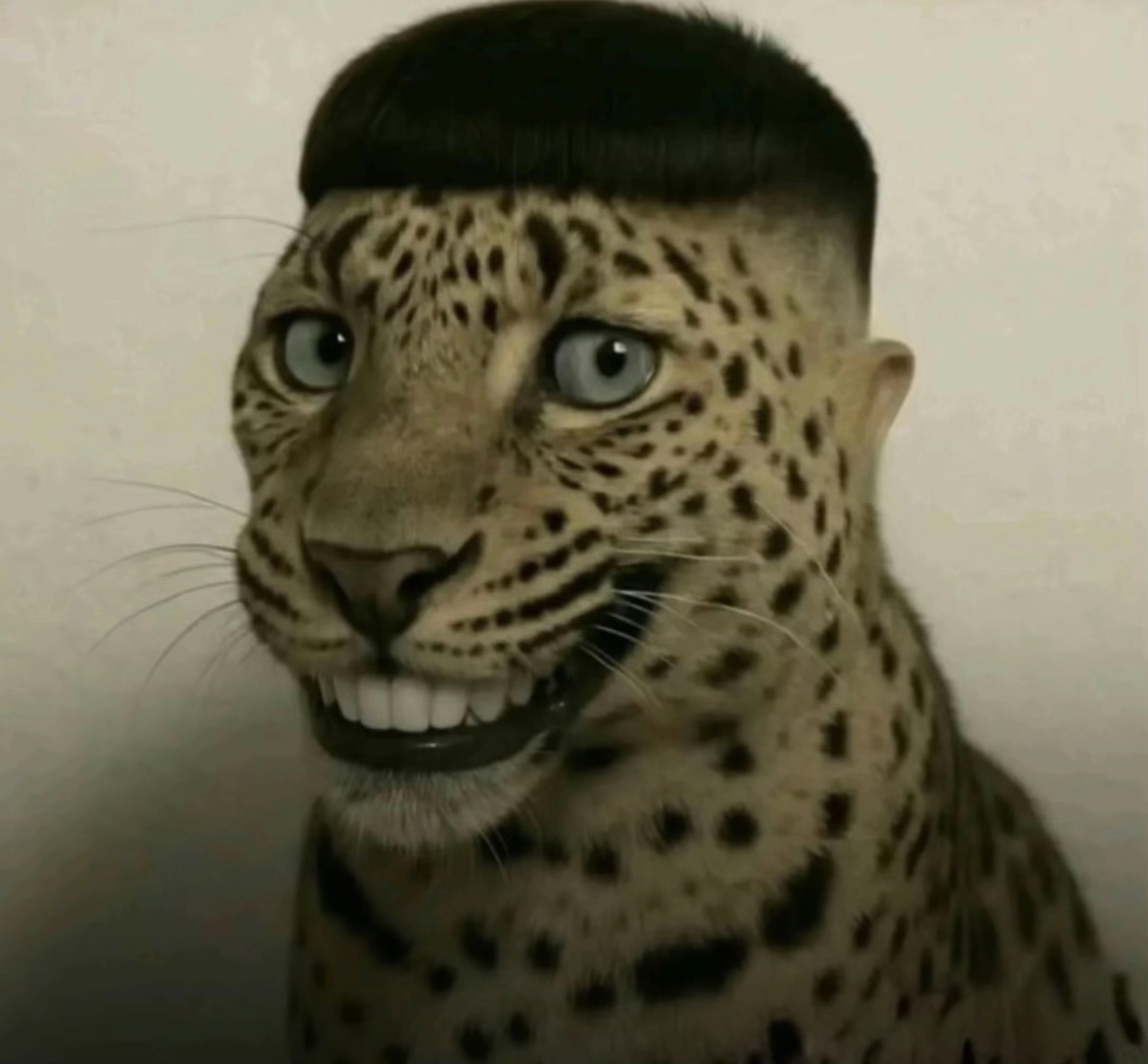 PrimativeHeelz tweet media