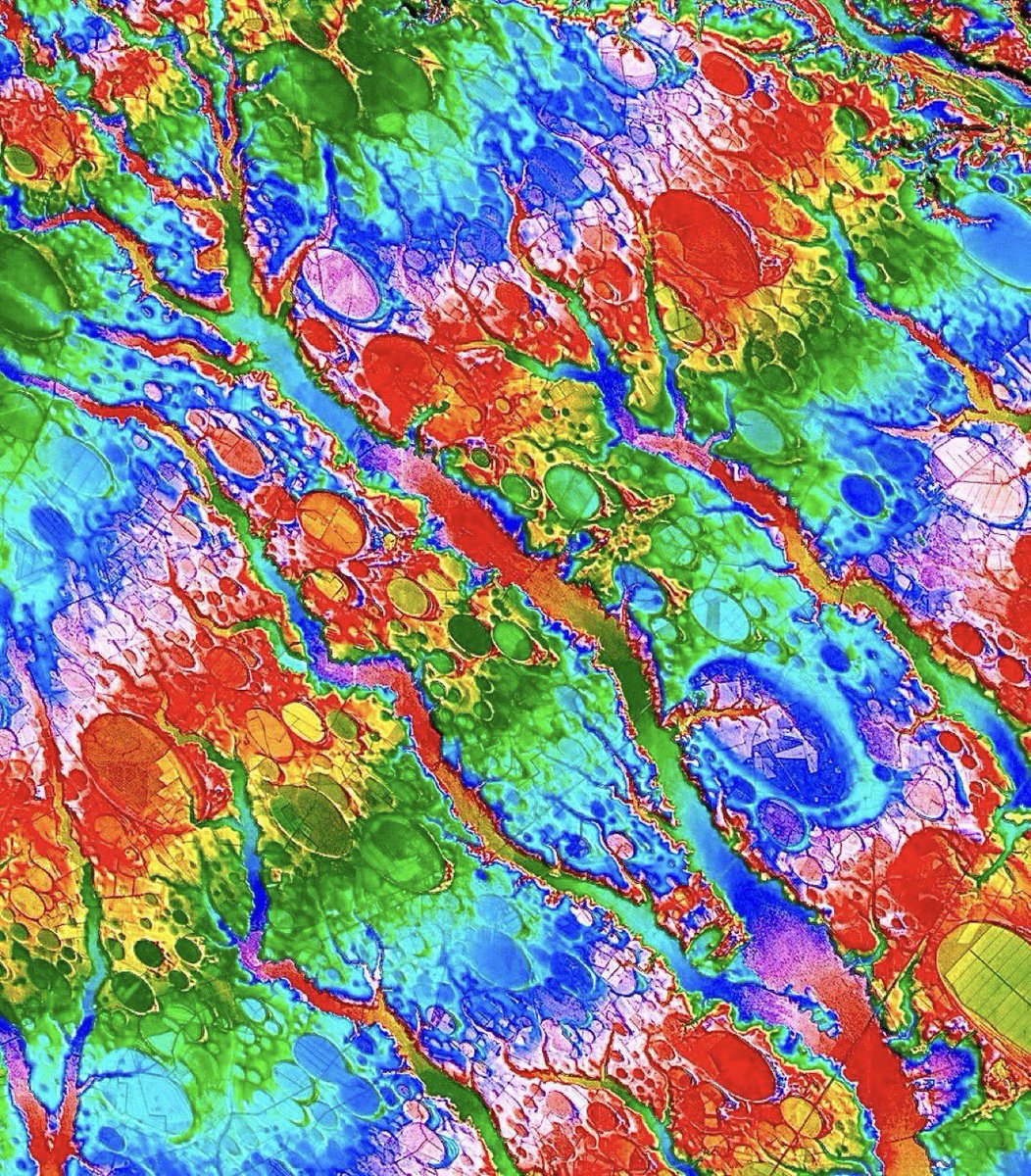 chris hutter tweet media