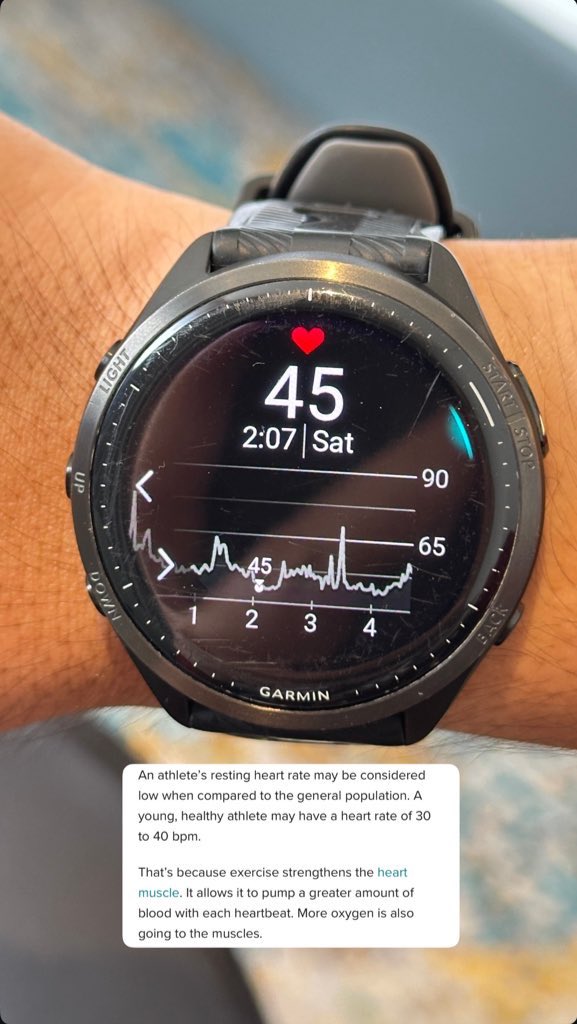 seri/gala tweet media