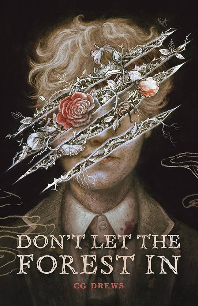 killindarlings's tweet photo. @klhicks912 Currently halfway through Don't Let the Forest In by @PaperFury 
Up next is Hamnet 🪶 https://t.co/inYSoe0MLh