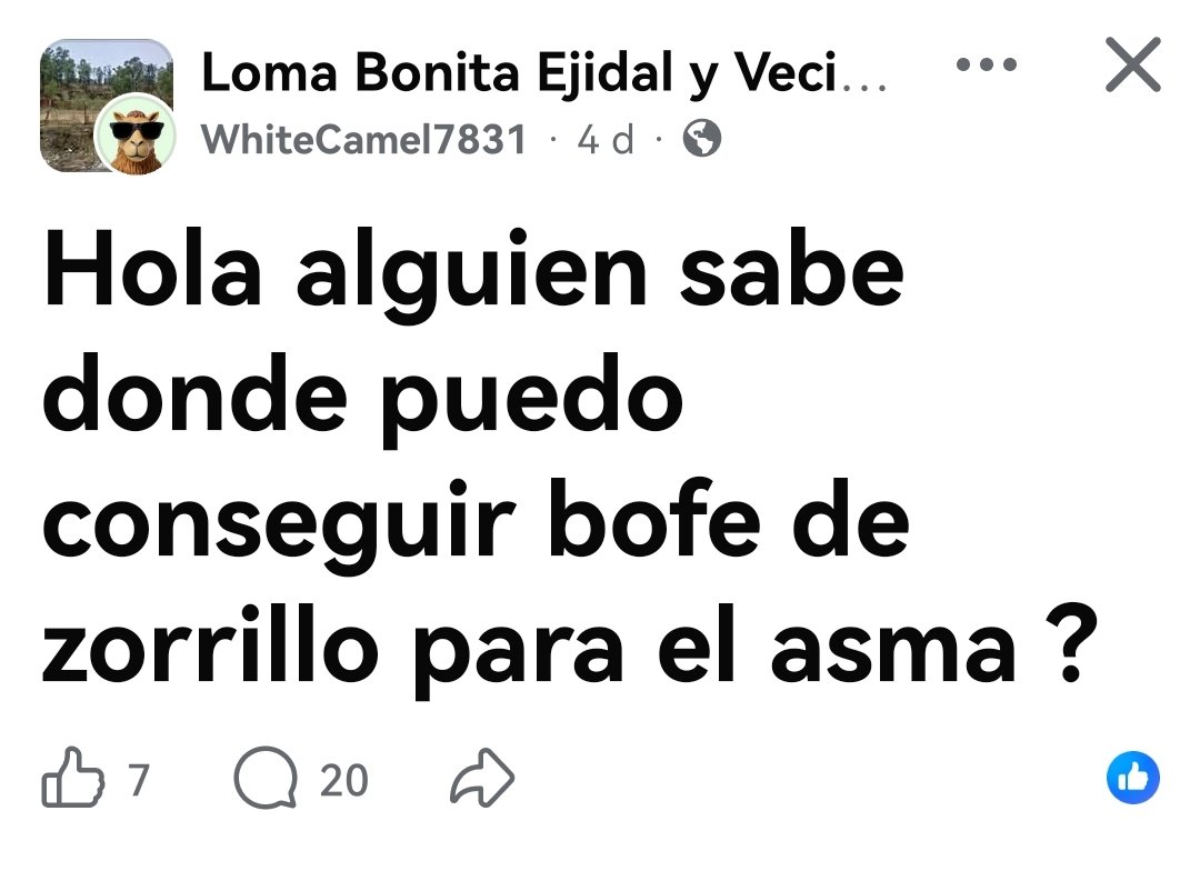 Susana S tweet media