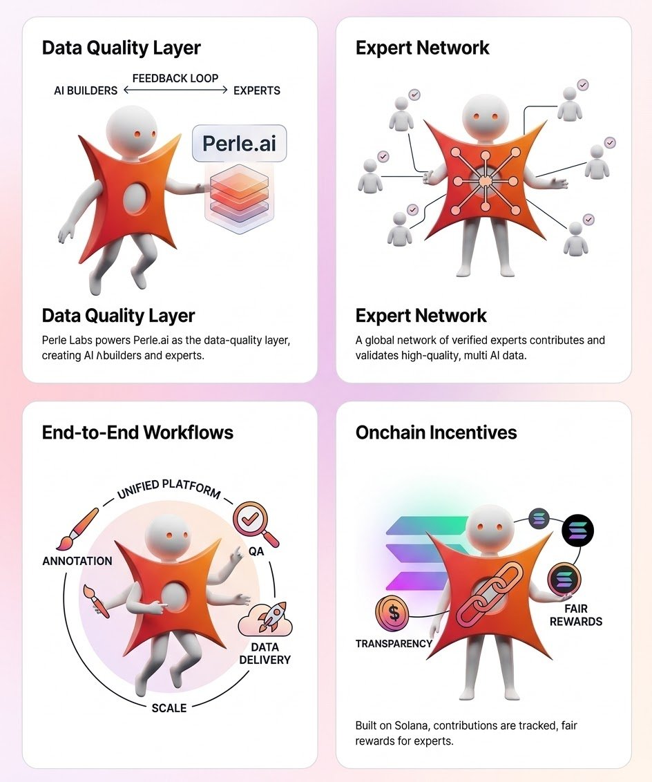 Van Quan I 🌊RIVER | Bird🕊️ tweet media