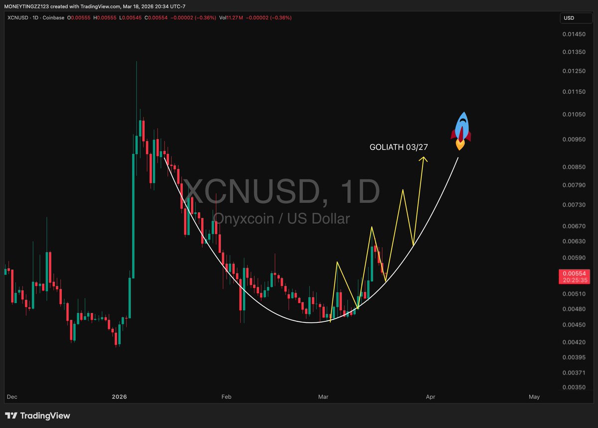 MoneyTingz tweet media