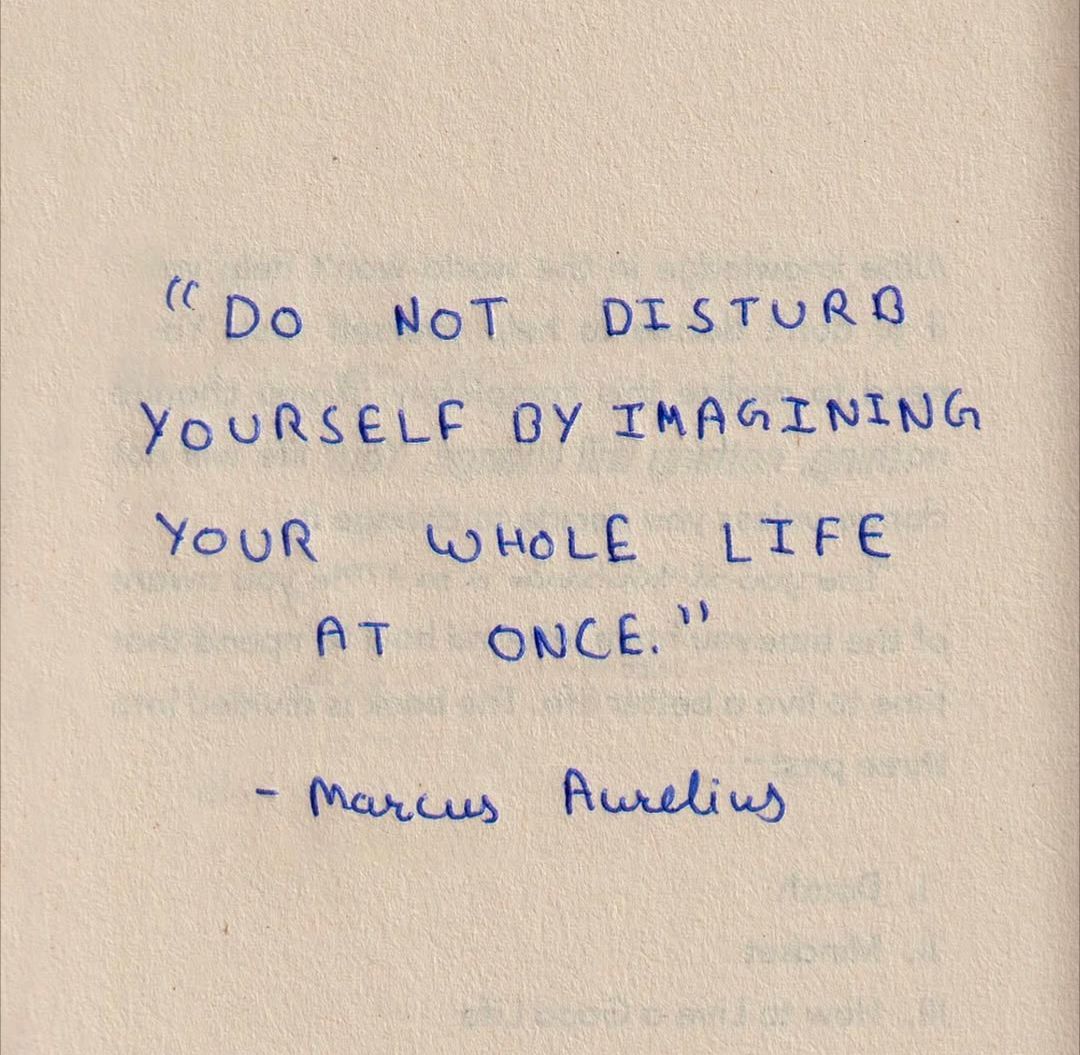 After Dinner Conversation tweet media