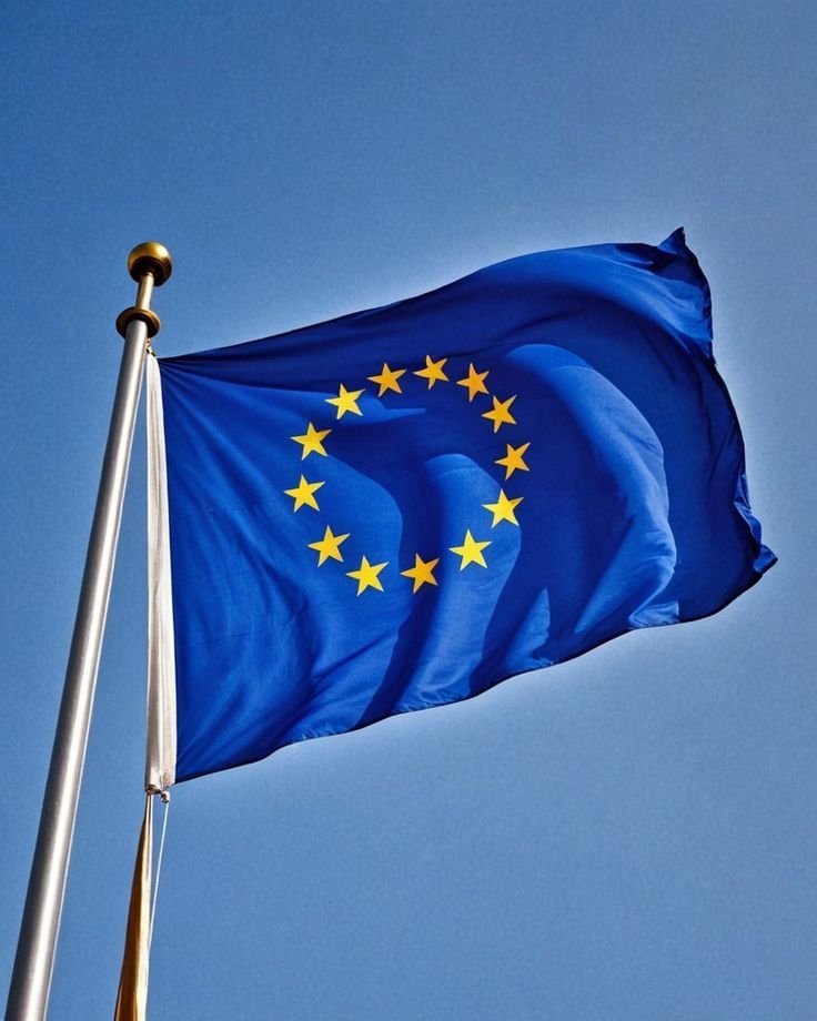 Whale View Chart tweet media