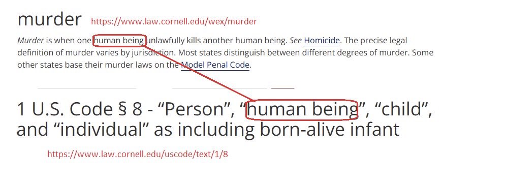 Gigi History tweet media