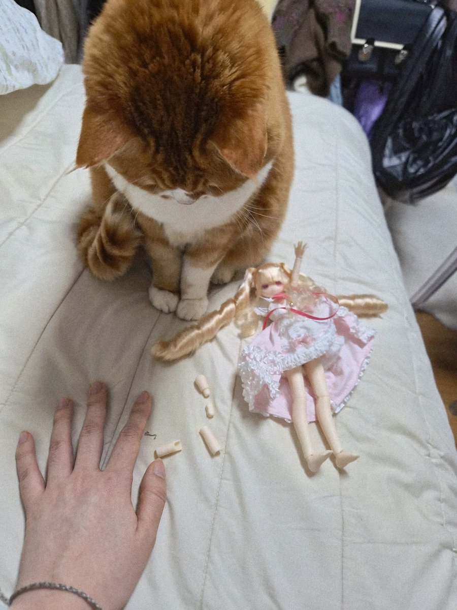 사랑해 뽀뽀또또 tweet media