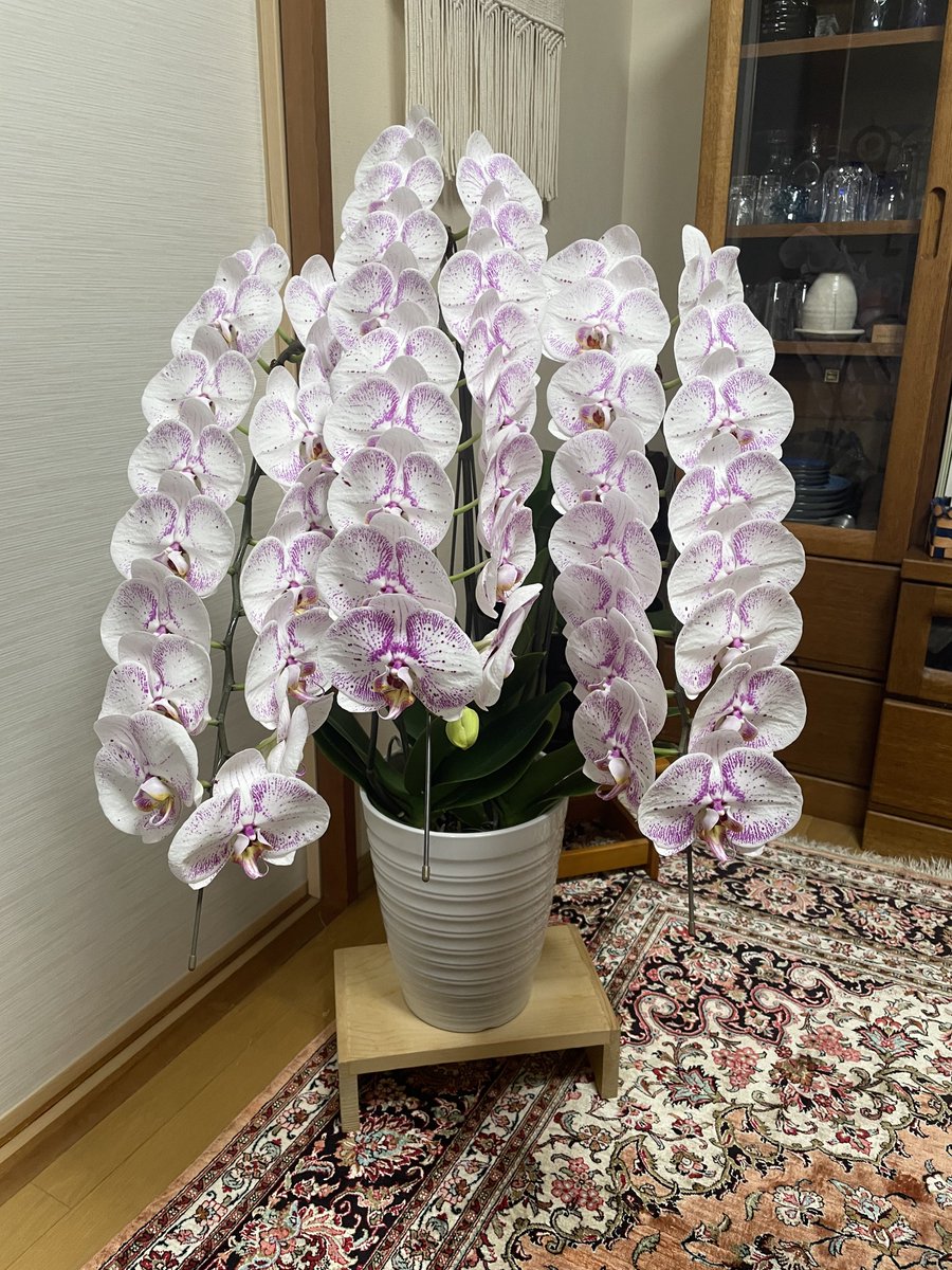 けとる tweet media