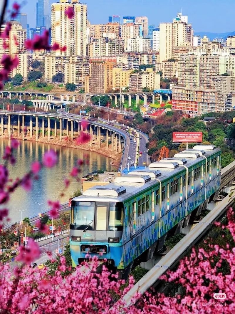 不会飞的猫（互fo） tweet media