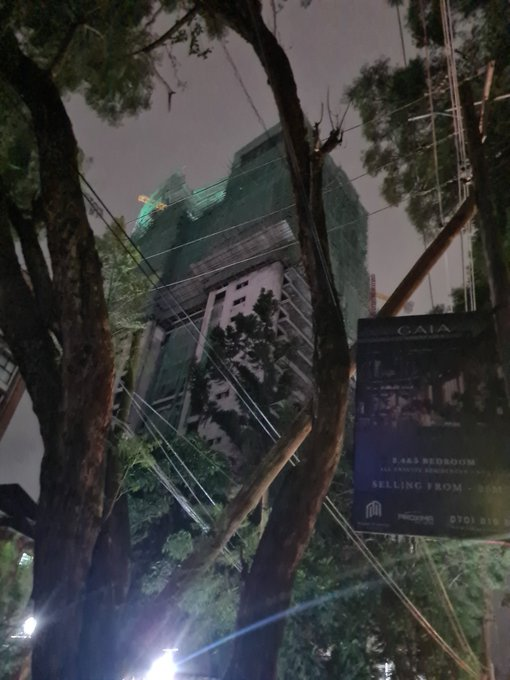 The African Voice tweet media