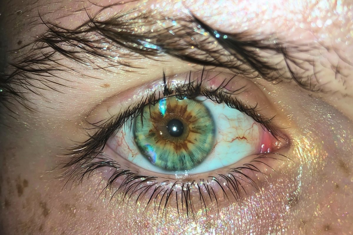 🪽Angels Del Monte༻꧂ tweet media