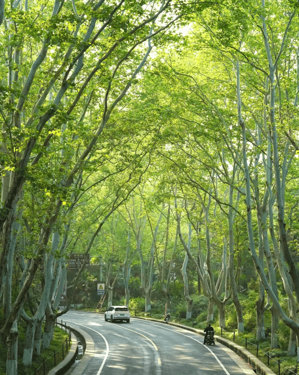 daniel spence tweet media