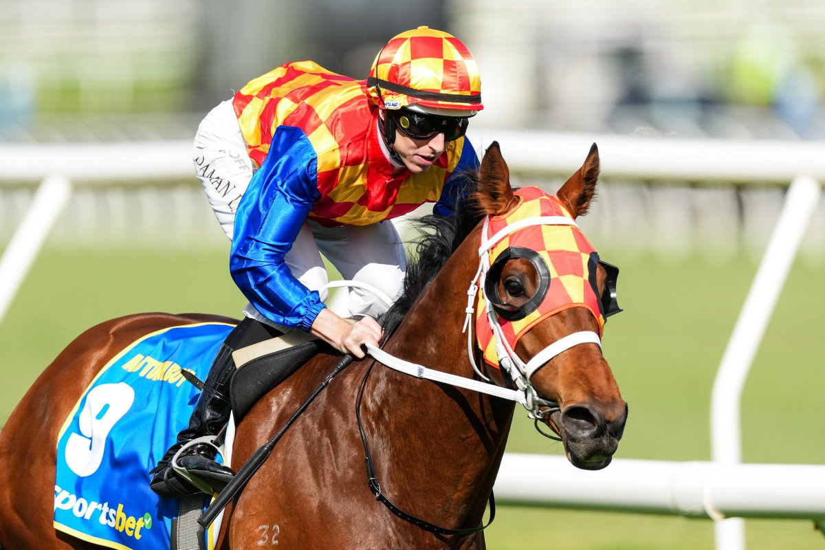 Ladbrokes Cox Plate tweet media