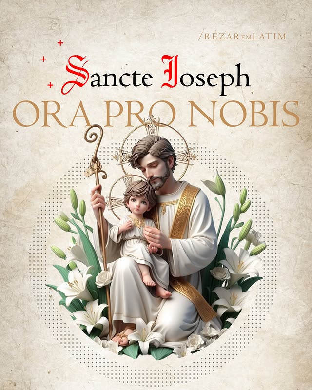 ADECOSCHACAO tweet media