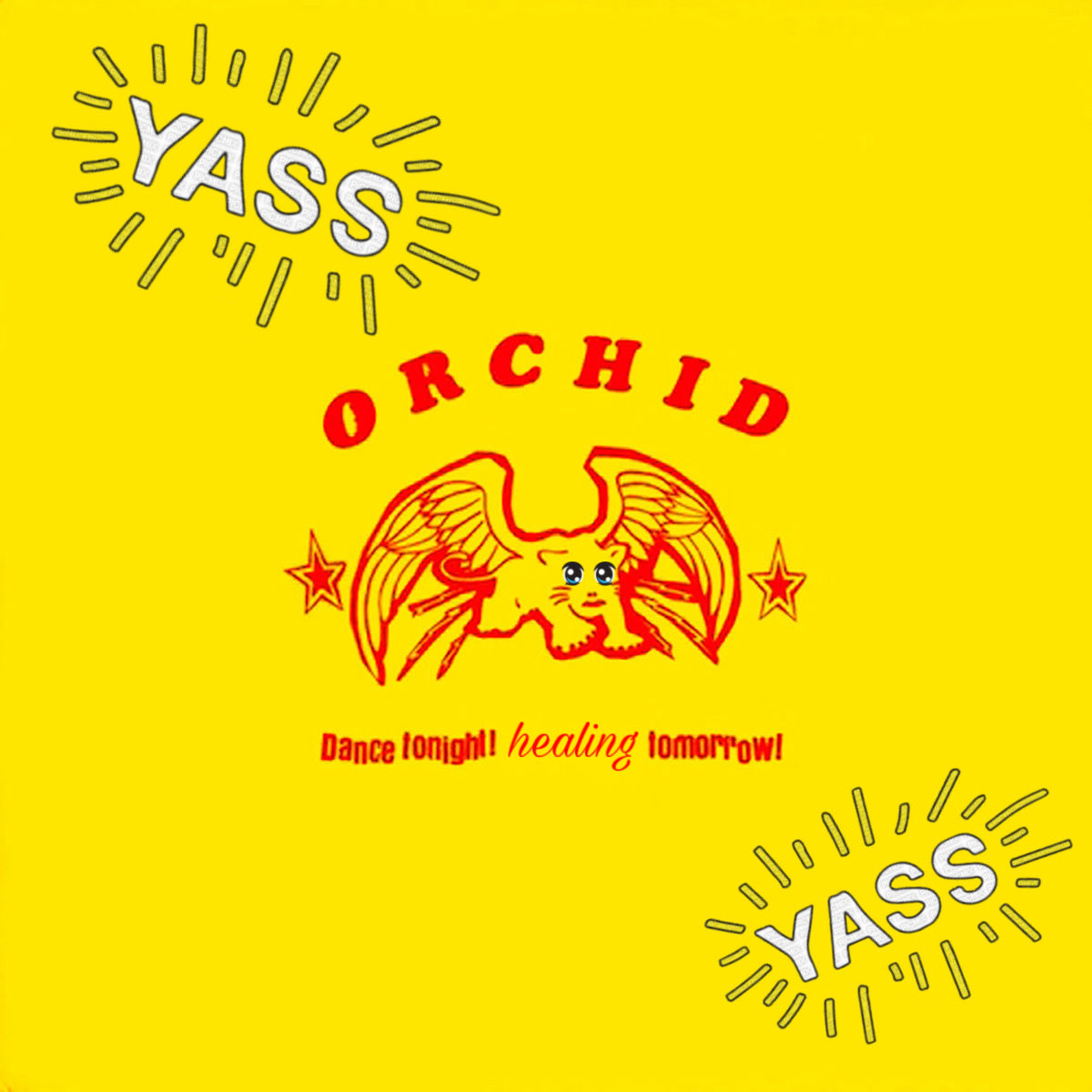 Xan🦇🇵🇸 tweet media