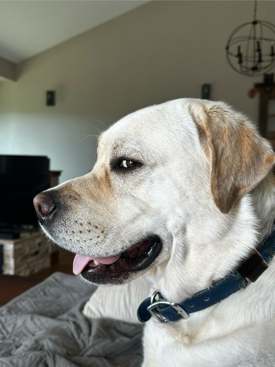 MissEdie tweet media