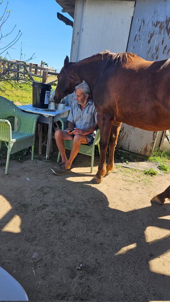 comedy California surfer tweet media