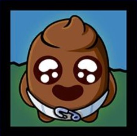 Seven Lions🦁🐾 tweet media