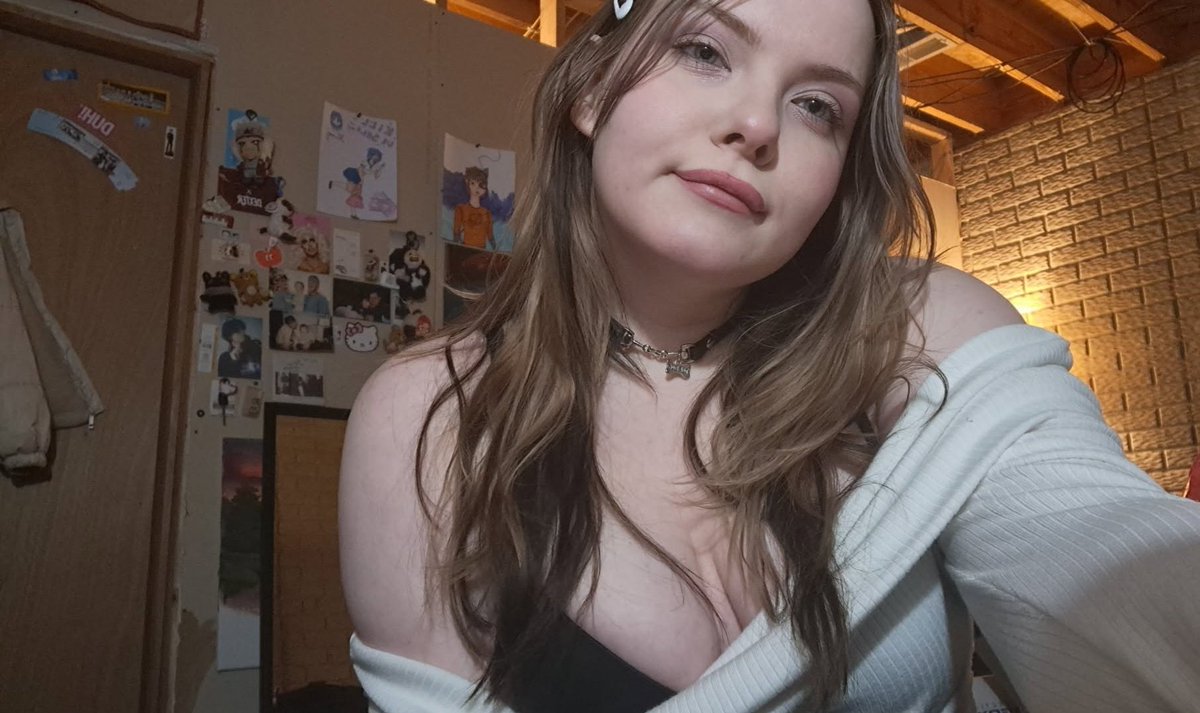 stupid dog tweet media