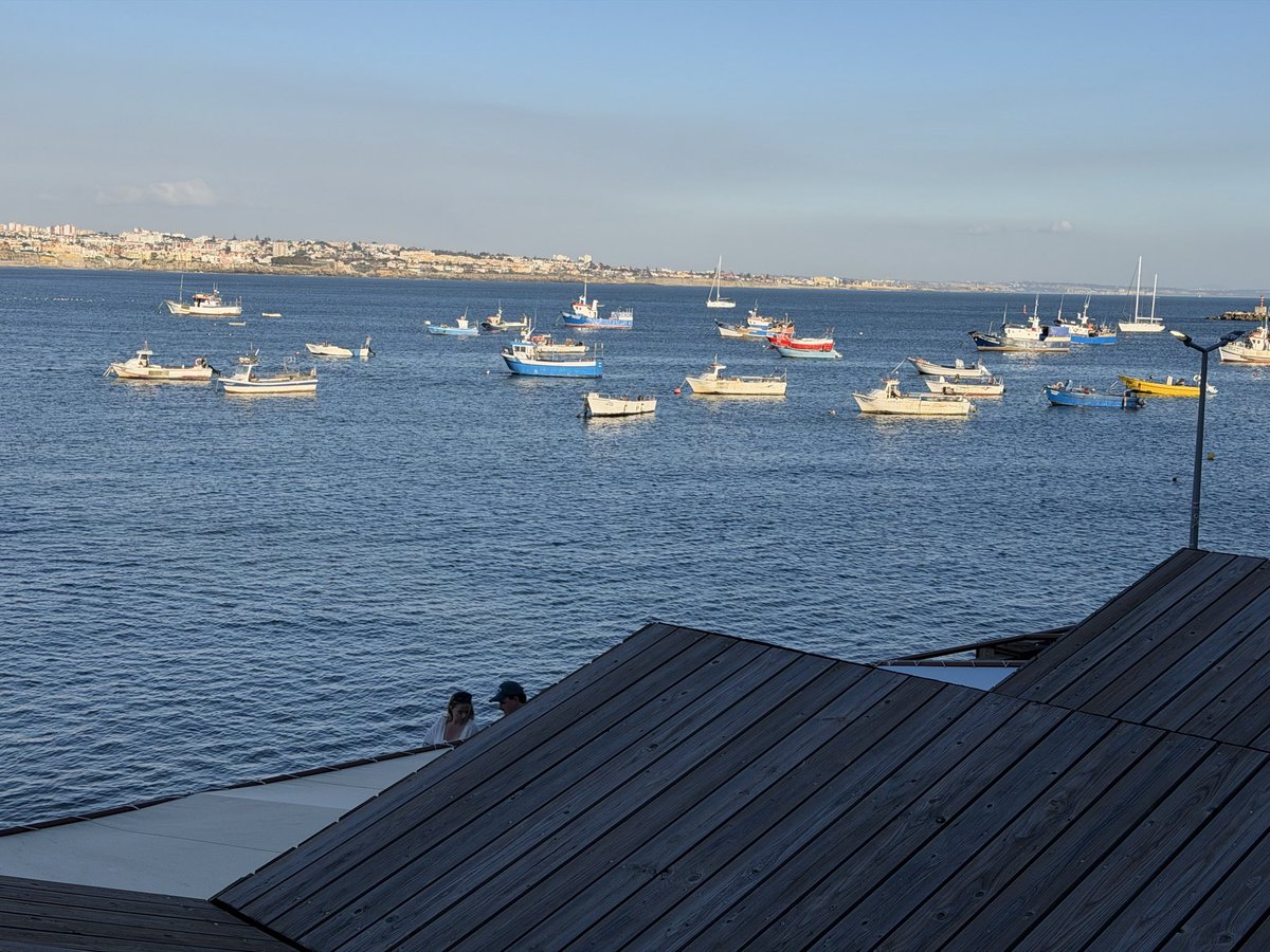 Barbara Corey tweet media