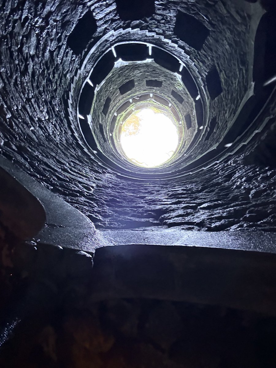 Barbara Corey tweet media