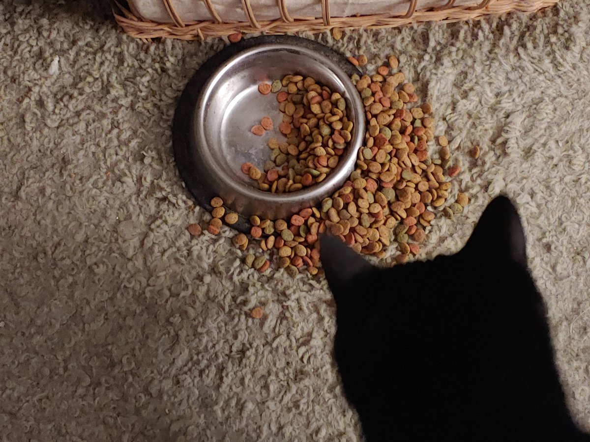 Mario Speedwagon tweet media