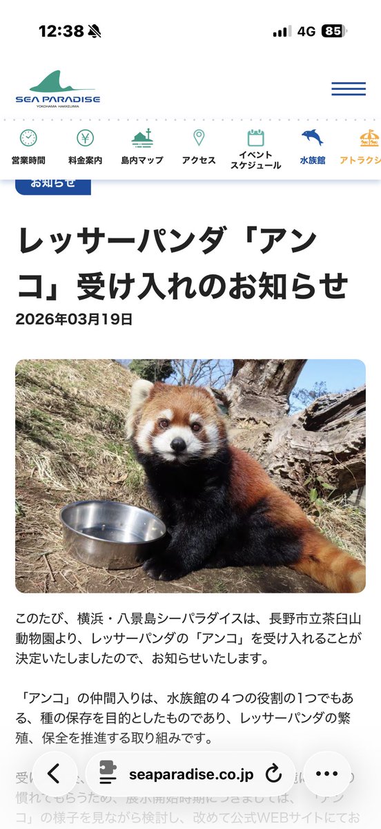 るん🐾 tweet media