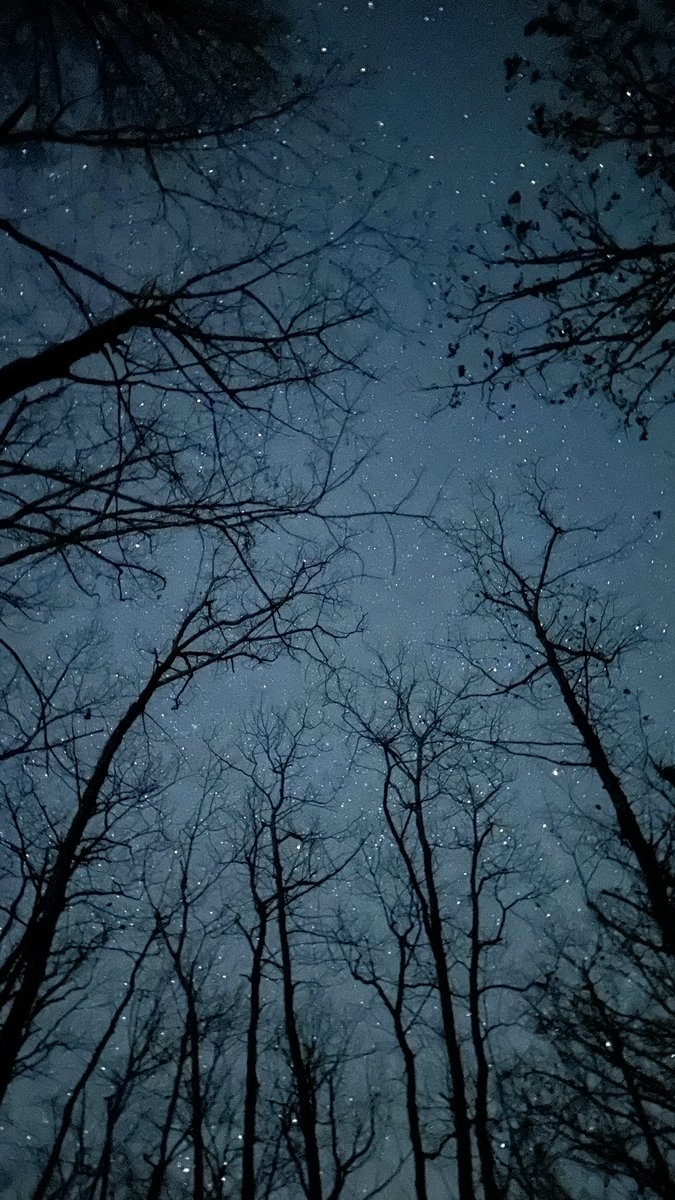 TesLatino tweet media