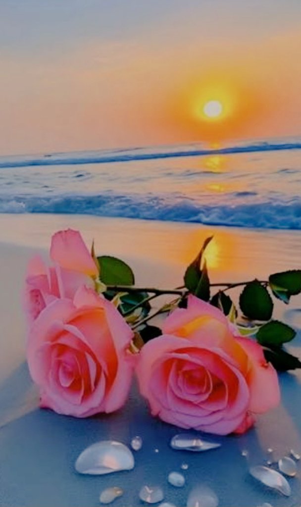 🌺 Nicky 🌺 tweet media