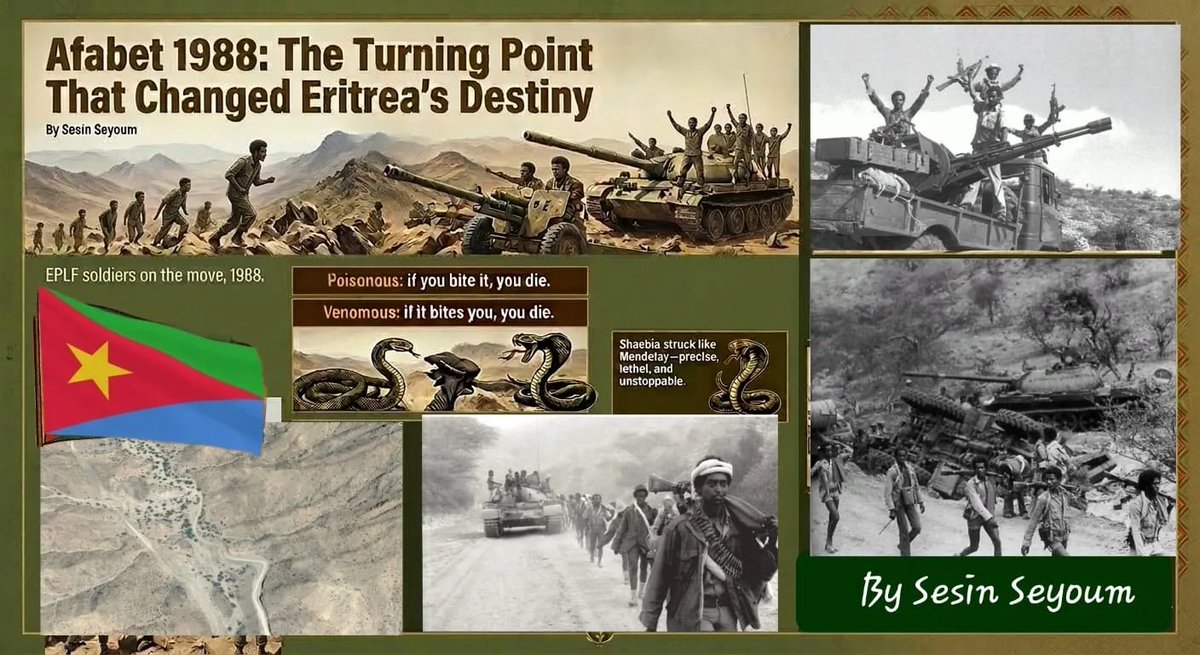 Red Sea Beacon tweet media