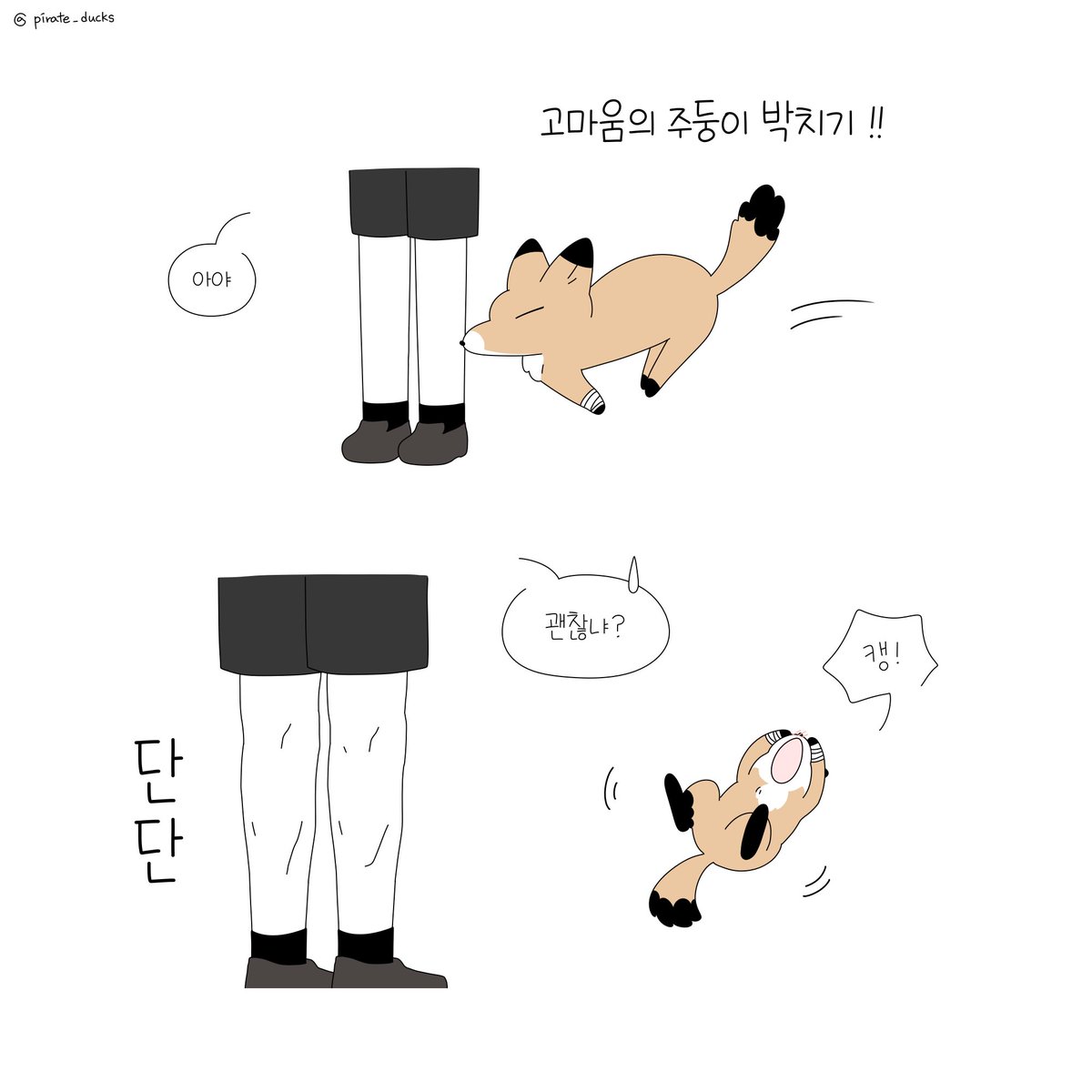 여우개 요한이와 맨다리의 복서 김이화