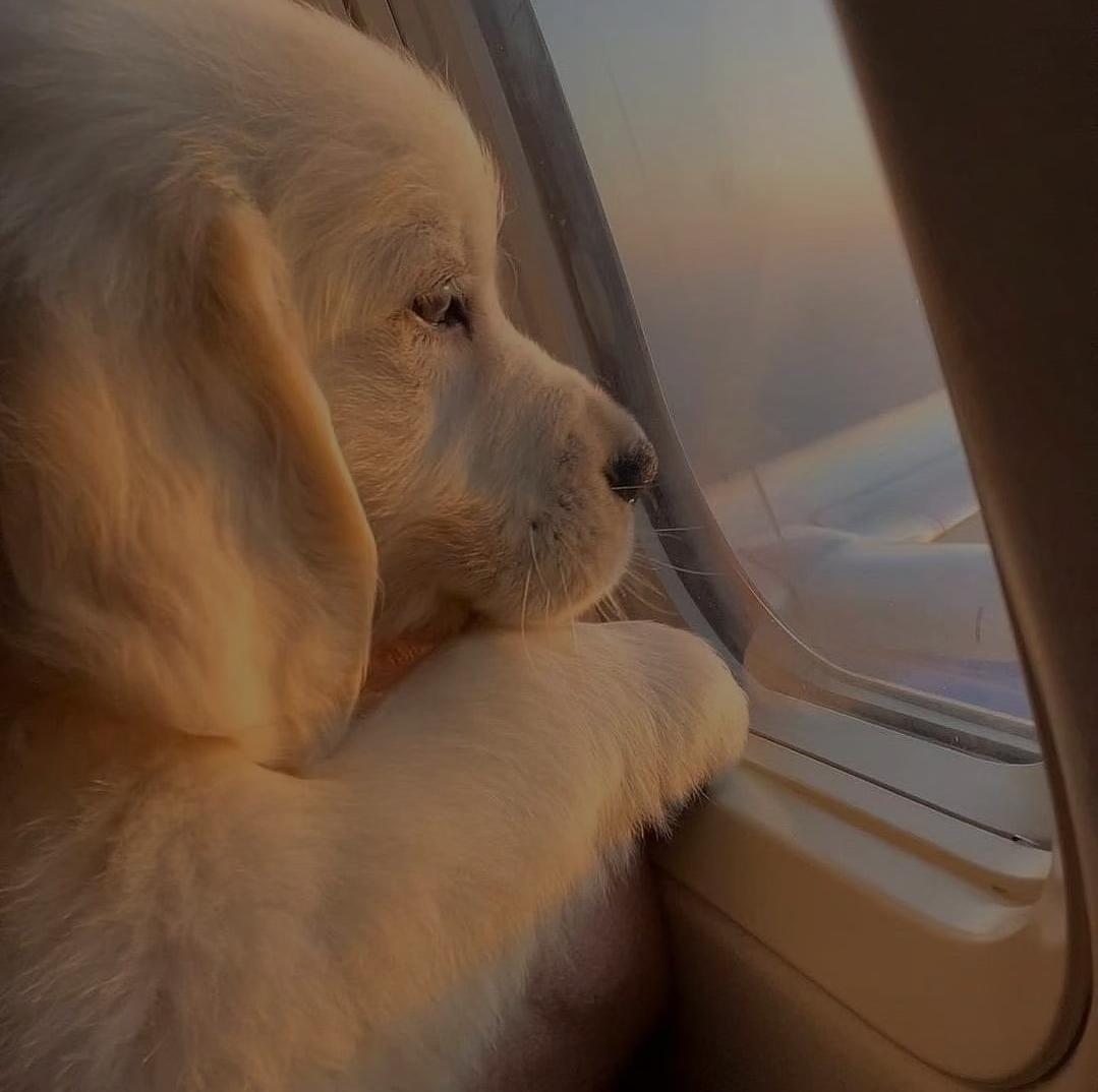 Lisa Nousek tweet media