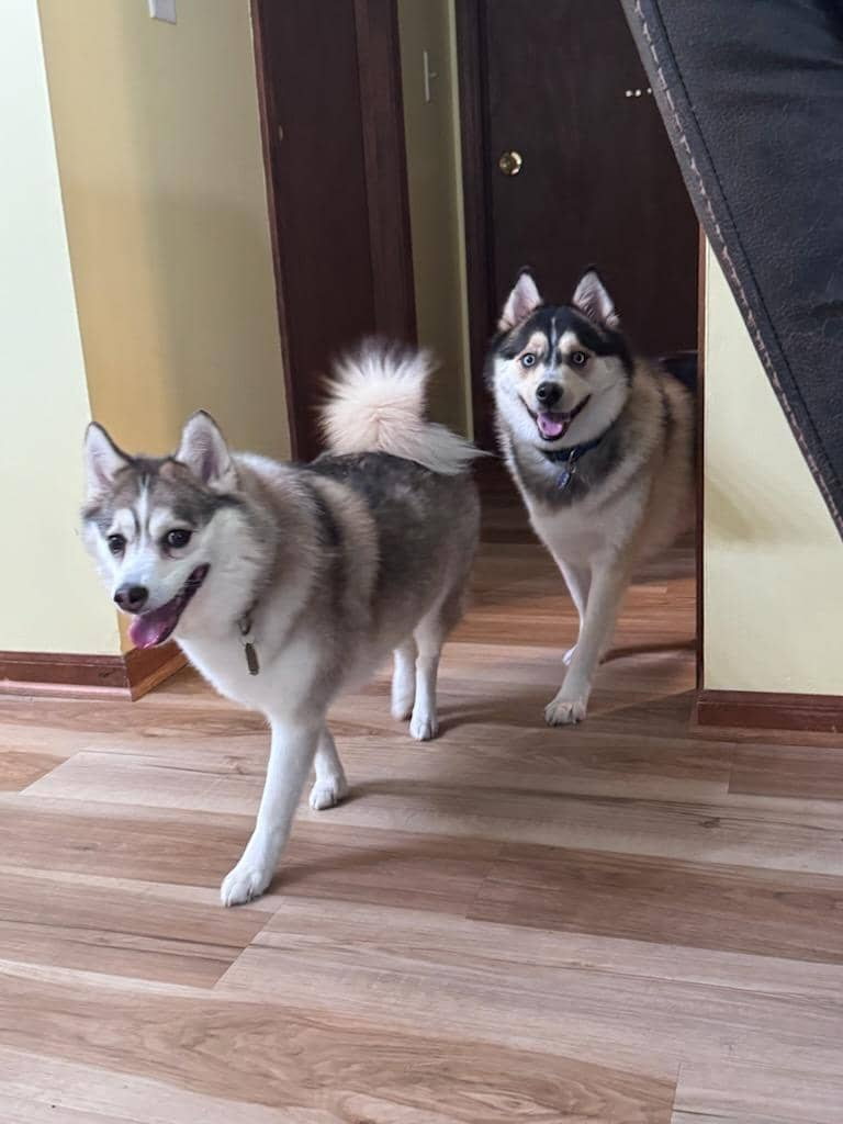 Mila.Alien 🇺🇦 tweet media