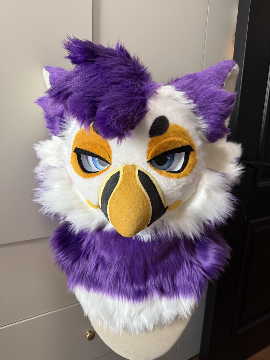 Birb
#fursuitcommission #fursuit #furry