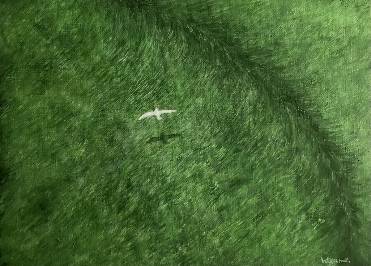 hizume.（ヒヅメ） tweet media