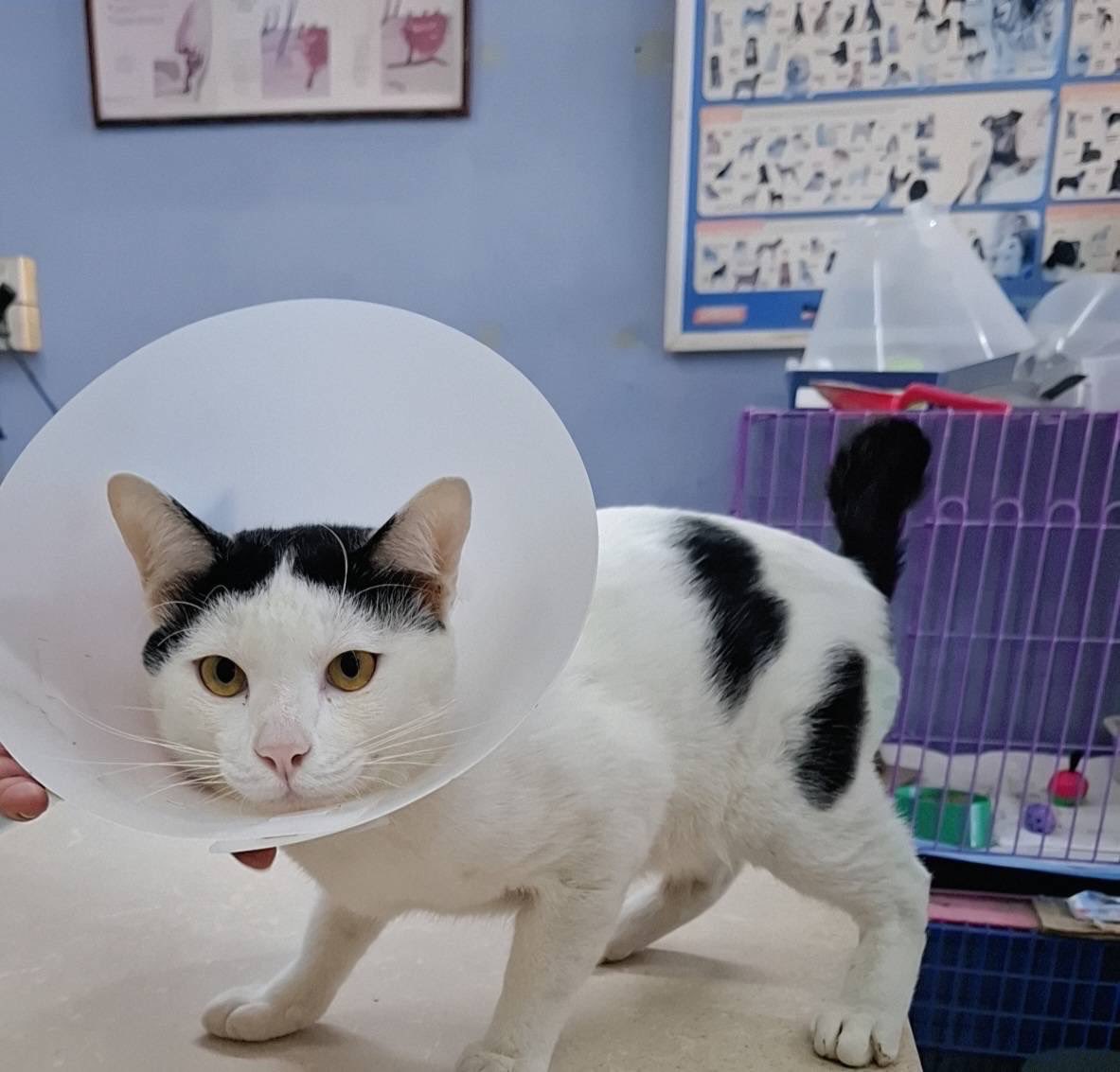 NuOnlyZeePruk #ZunShine ☀️ tweet media