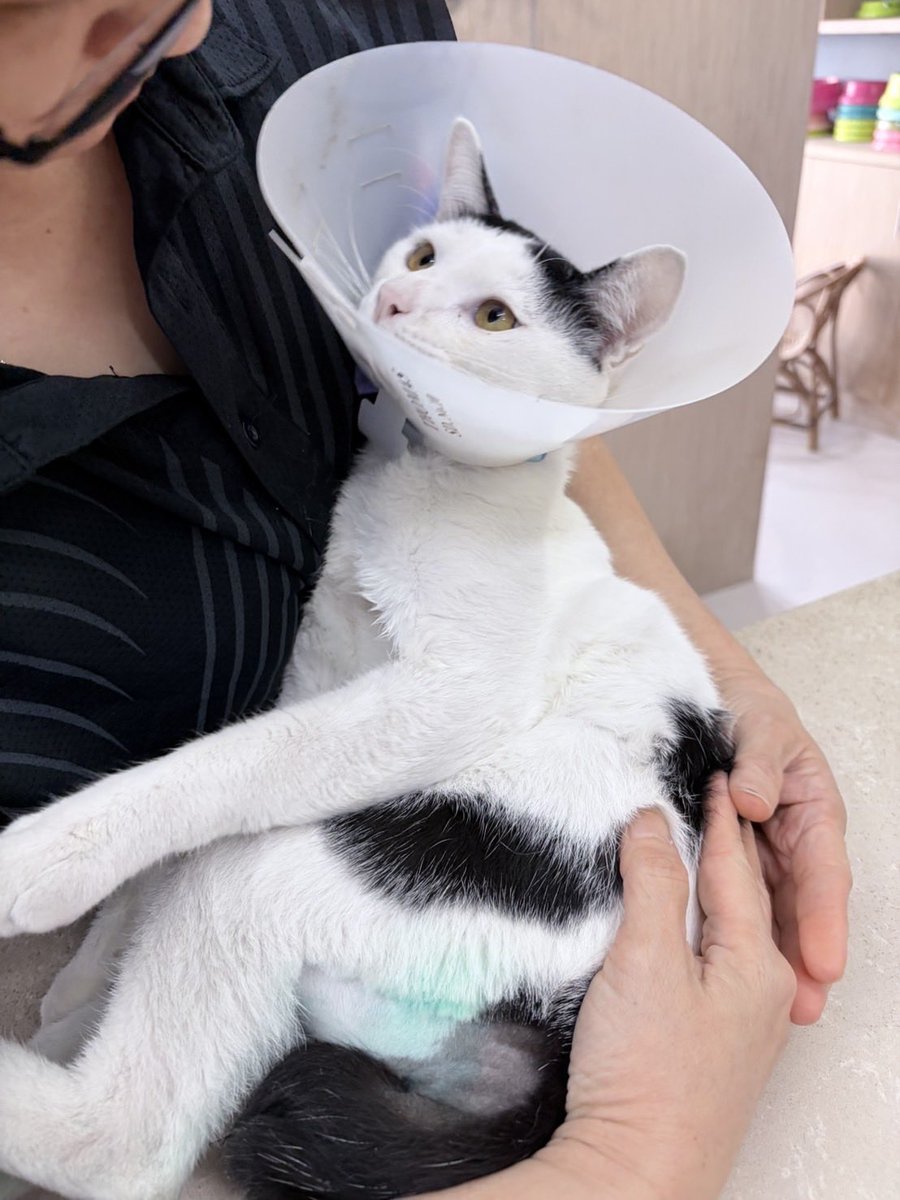 NuOnlyZeePruk #ZunShine ☀️ tweet media