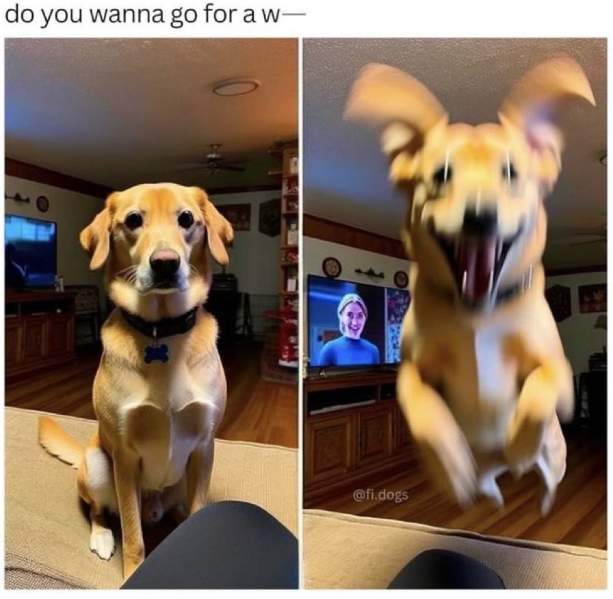 GnosisWolf tweet media