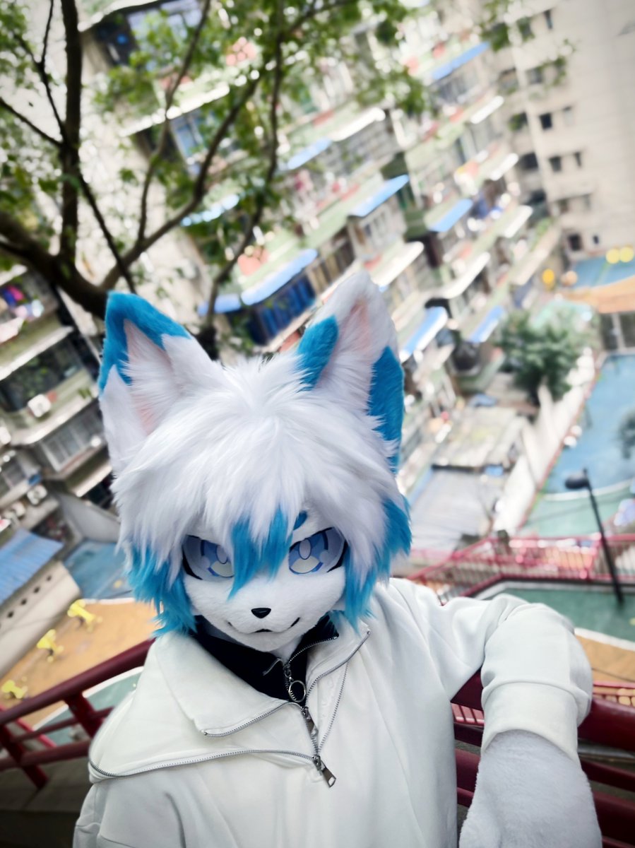 白渡&bd&백도🔜兽行迹 tweet media