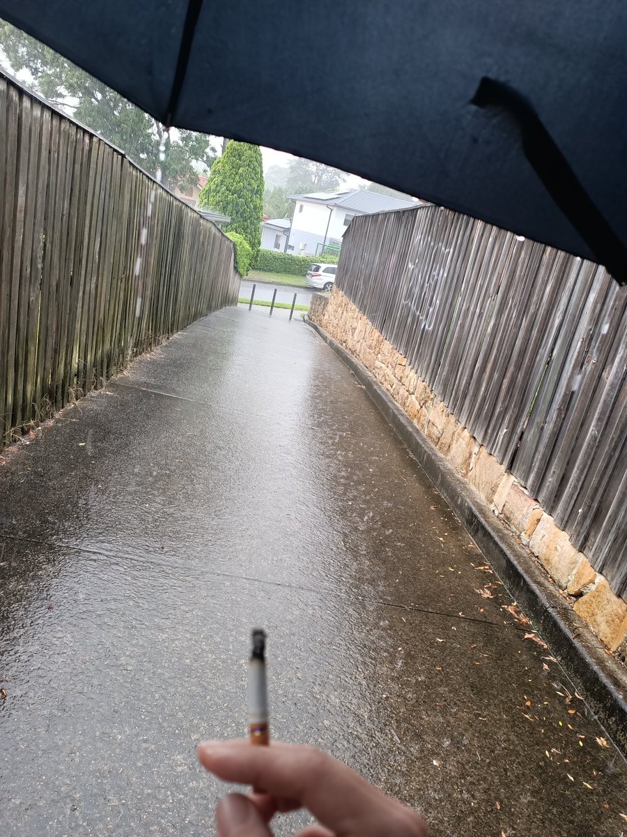 Maddi 🇦🇺🪻 tweet media