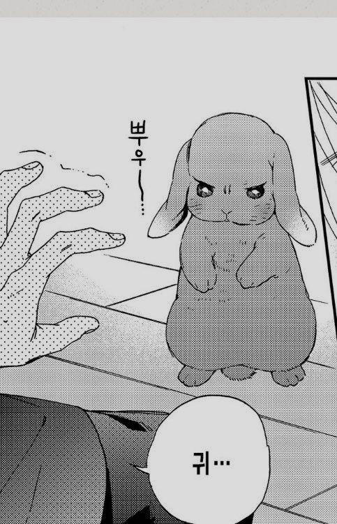 SUMI ⭐️ tweet media